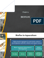 Chapter 9 - Biofloc Technology (BFT)