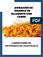 Informe 1 Olluquito Con Carne