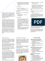 Pasos Del Rosario PDF