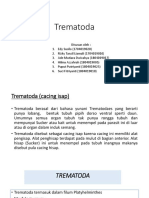 Trematoda 