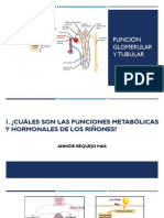 Seminario 10 Función Glomerular y Tubular