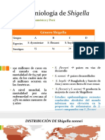 Epidemiologia Shigella