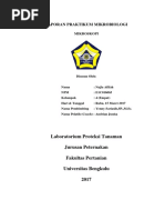 Laporan Praktikum Mikrobiologi 2