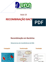 Aula 13 - Recombinacao Bacteriana2015