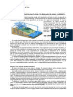 2017 - Geomorfologia Fluvial. El Modelado de Aguas Corrientes - Texto