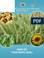 FIELD CROPS RABI With Multiple Choice Questions PDF