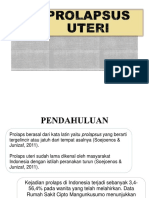 Prolaps Uteri