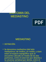 Anatomia Del Mediastino