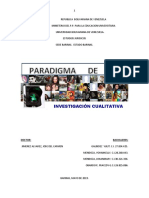 Paradigma de Investigacion Cualitativa