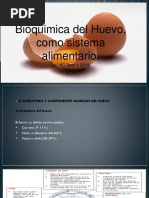 Bioquimica Del Huevo