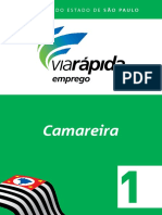 Camareira 1 PDF