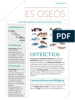 Peces Oseos