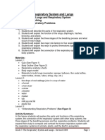 Grade 7: The Respiratory System and Lungs