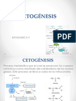 Cetogénesis