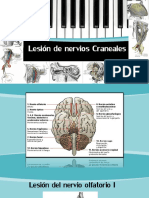 Lesiones Pares Craneales