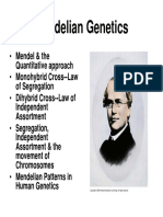 Mendelian Genetics: - Mendel & The - Monohybrid Cross - Law - Dihybrid Cross - Law of