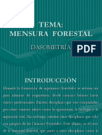 Mesura Forestal