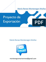 Proyecto de Exportación