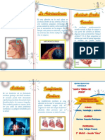 TRIPTICO Enfermedades Del Sistema Circulatorio