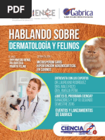 Dermatologia y Felinos