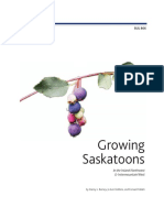 Afin Canadian PDF