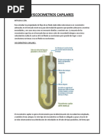 Viscocimetros Capilares