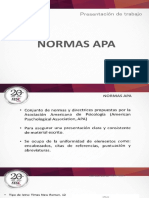 Criterios Normas APA