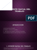 Division Racial Del Trabajo