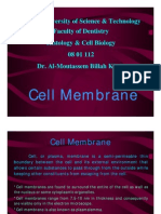 Cell Membrane