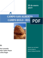 Proyecto Final San Alberto y Bulo Bulo