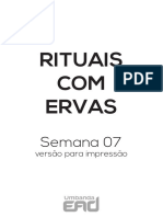 Rituais COM Ervas: Semana 07