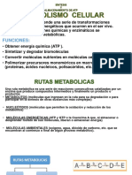 Síntesis y Almacenamiento de Atp