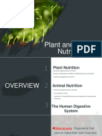 Plant Nutrition