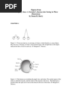 Figues For Fixing My Gaze PDF