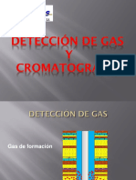 Detección de Gases & Cromatografia PDF