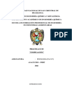 Informe 03 Vinificación