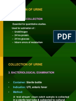 Urine Analysis