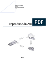 Manual Repro1 PDF