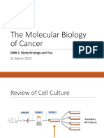 07 The Molecular Biology of Cancer