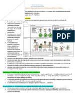 4 - Imunidade Inata, Inflamação, Citocinas, Migração de Leucocitos e Mecanismos Efetores Celulares