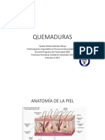 Fisiopatología de Las Quemaduras PDF