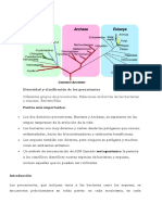 Diversidad y Clasificación de Los Procariotas y Archaeas