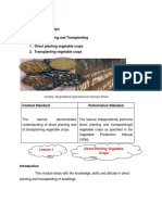 Module 4. Direct Planting and Transplanting