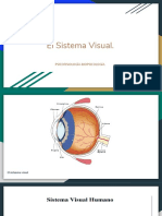 Sistema Visual