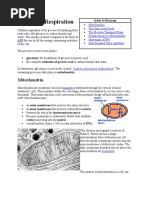 Cellular Respiration