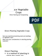 Produce Vegetable Crops-Direct Seedling