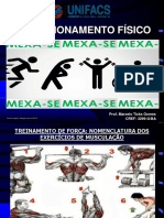 Treinamento de Força - Nomenclatura Dos Exercícios de Musculação