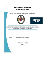 01 Informe de Practicas Preprofesionales Alan