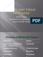 Blood N Tissue Protozoa