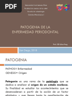 Patogenia de La Enfermedad Periodontal